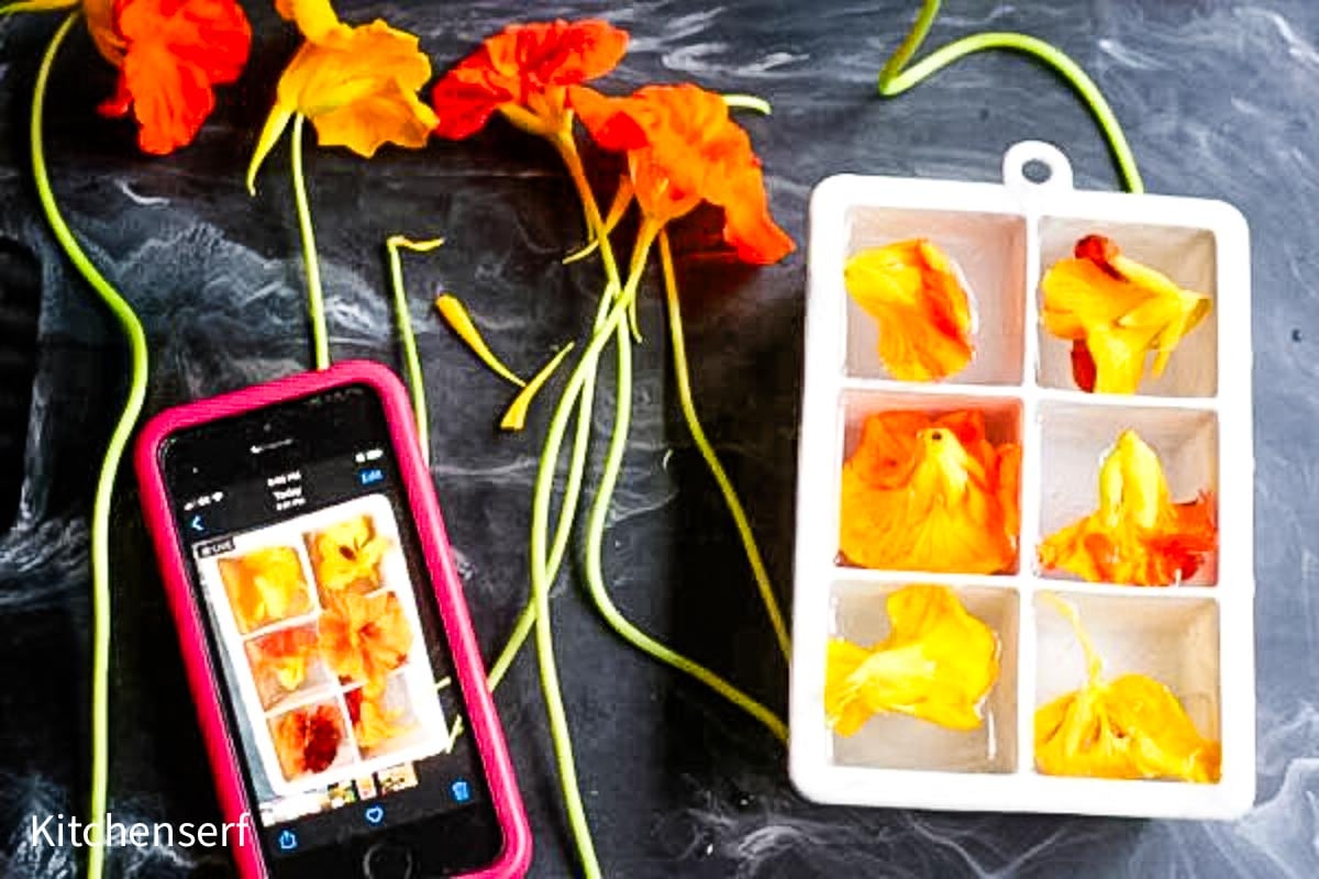 Yellow and orange flower petals create stunning floral ice cubes in a tray, with a phone capturing the setup on a dark surface.
