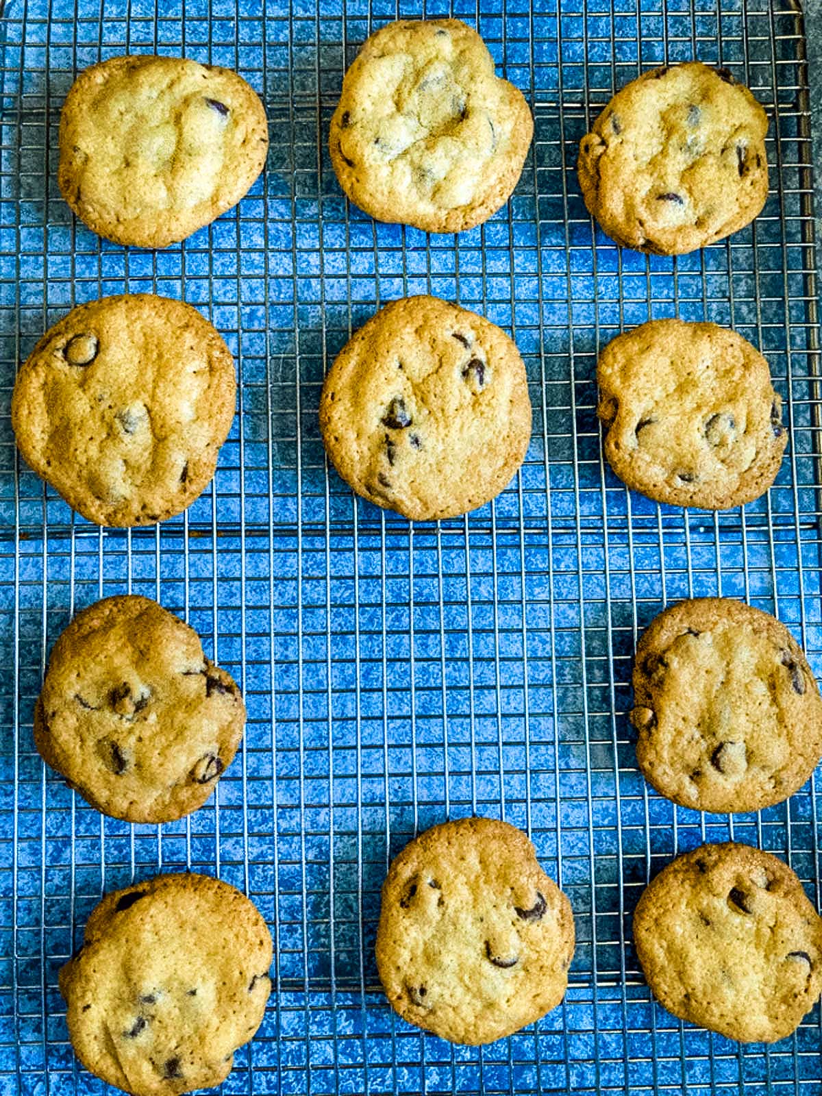 Chocolate Chip Cookie Recipe without Brown Sugar - Kitchen Serf