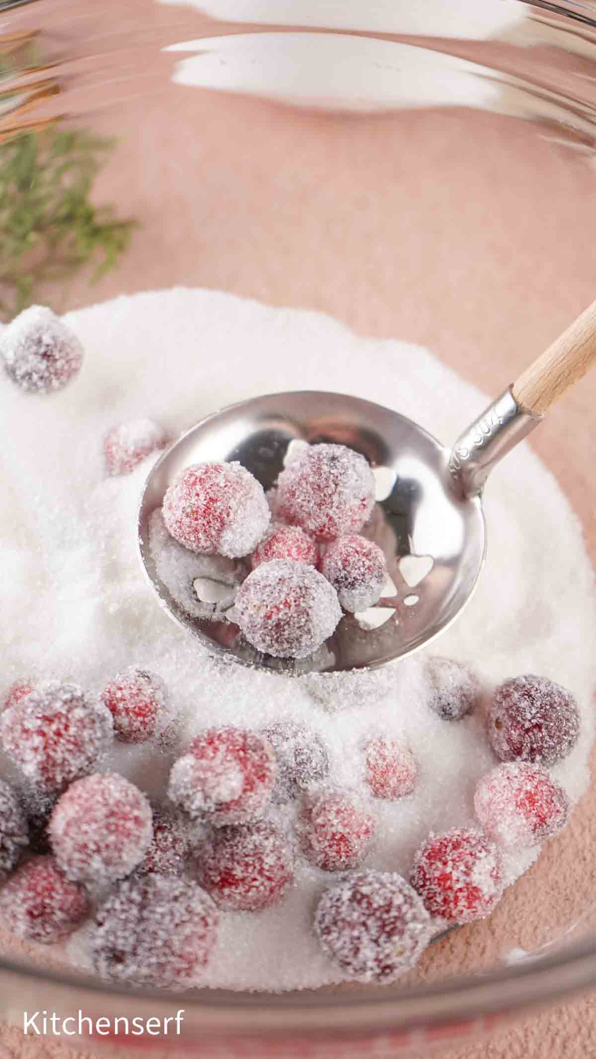 A slotted spoon lifts sugared cranberries from a bowl of granulated sugar.