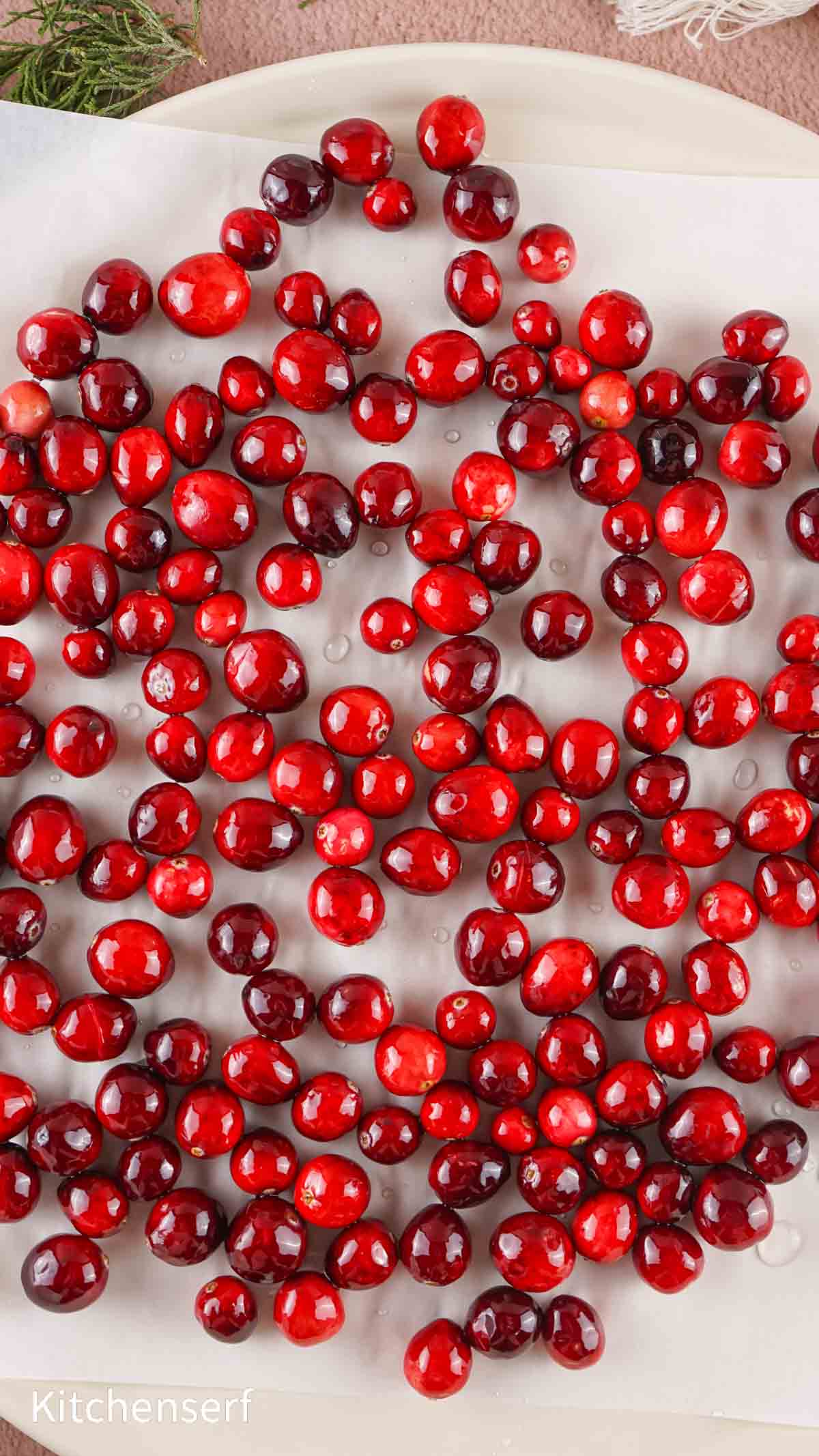 Glossy sugared cranberries spread out on a sheet of white parchment paper.