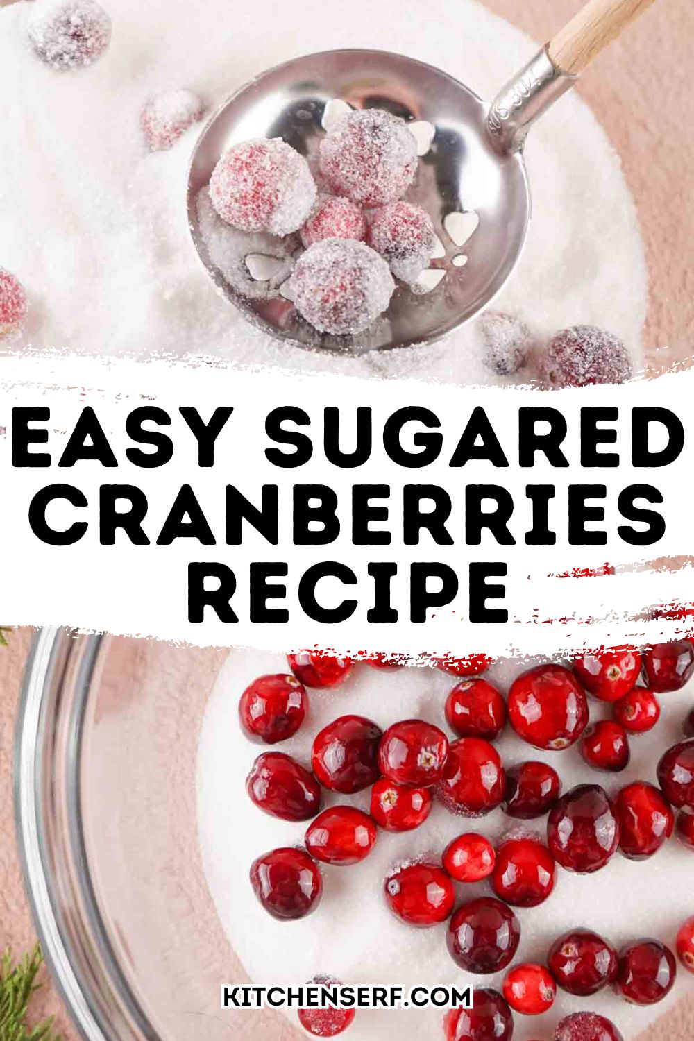 A spoon scoops sugared cranberries from a bowl, showcasing this easy sugared cranberries recipe with sparkling results.