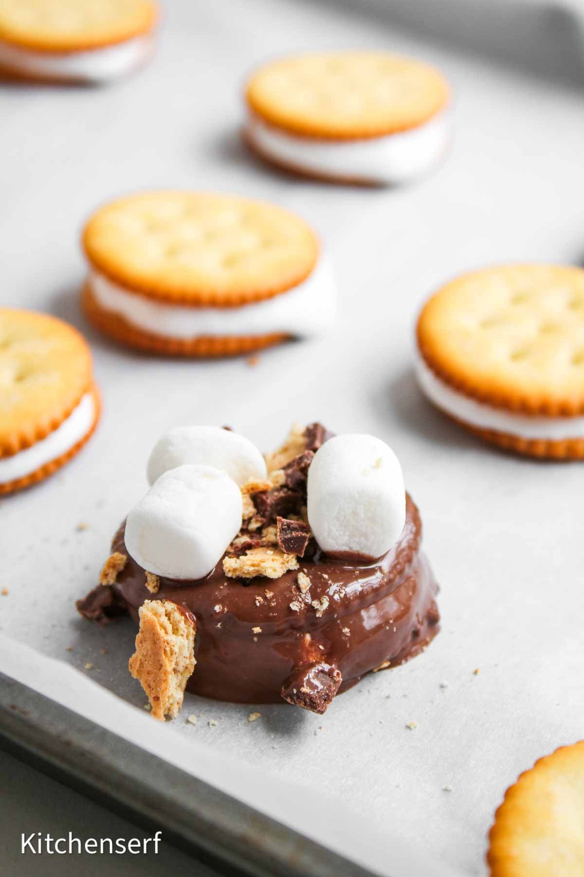 Round cracker sandwich coated in chocolate, topped with marshmallows and crumbs, with more sandwiches in background.
