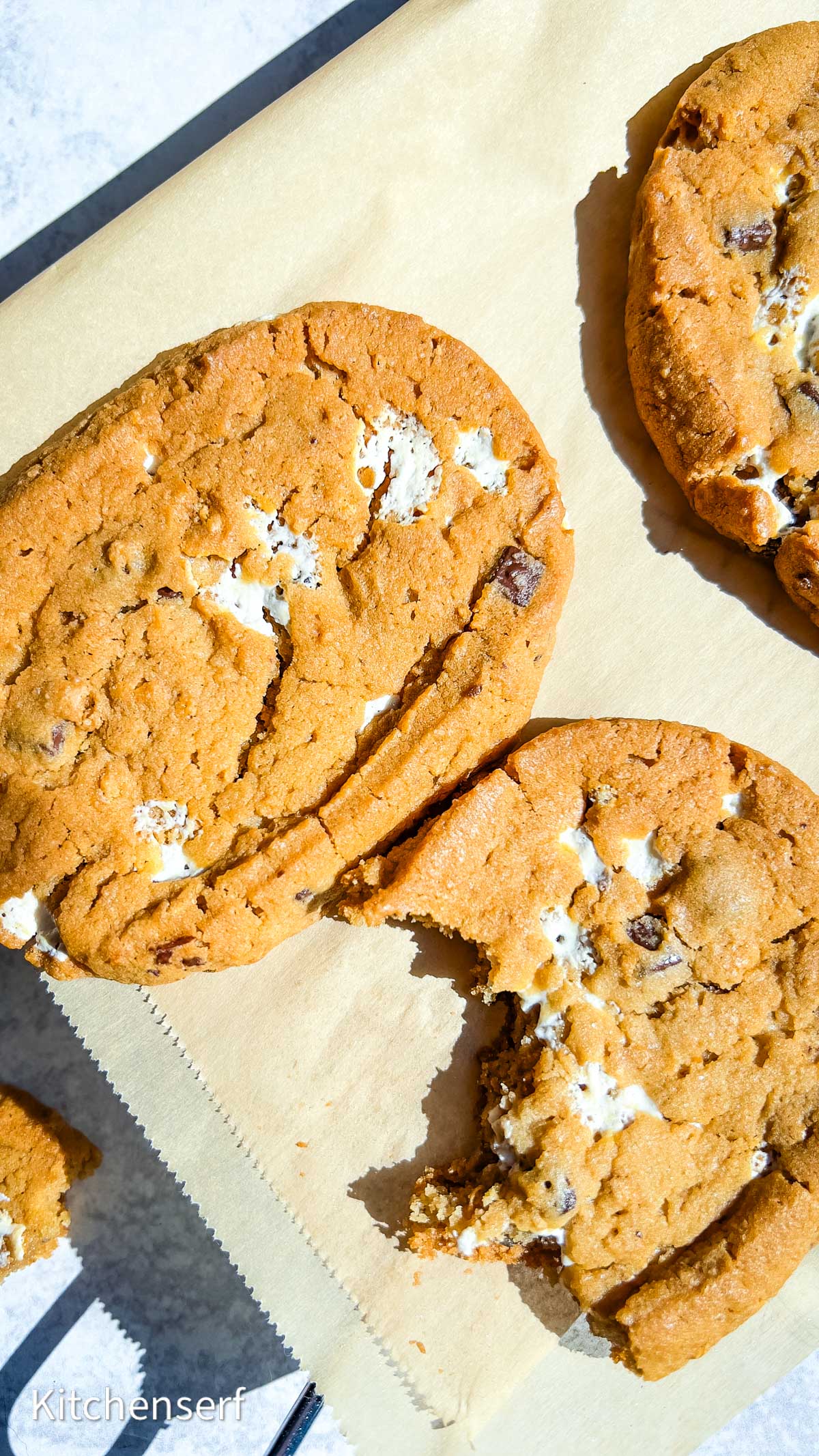 Three chocolate chip cookies, one with a bite taken out, rest on parchment paper in bright sunlight.
